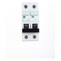 Geyer Αυτόματη ασφάλεια 2P C 6A 6kA EA206C