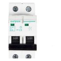 Geyer Αυτόματη ασφάλεια 2P C 40A 6kA EA240C