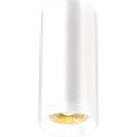 Geyer Spot οροφής επίτοιχο GU10 IP20 λευκό FS60130GU10W