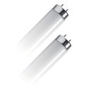 Geyer λαμπτήρας Φθορίου T8 36W G13 6500K HT8CE120