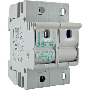 Ασφαλοδιακόπτης NEOZED D02 1P+N 63A