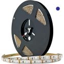 Ταινία LED Eco 14.4W 12V μπλε IP65