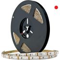 Ταινία LED Eco 14.4W 12V κόκκινη IP65