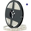 Ταινία LED Premium 14.4W 12V 5M μπλε IP68 LP14412BL68
