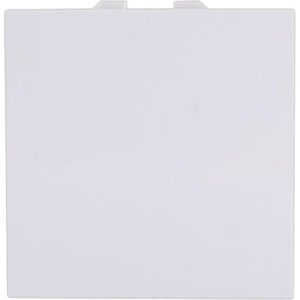 Μεσαίος Α/Ρ 2 θέσεων Λευκός 10ΑΧ 250V