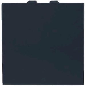 Μεσαίος Α/Ρ 2 θέσεων Μαύρος 10ΑΧ 250V