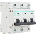 Αυτόματη ασφάλεια 3P C 80A 10kA